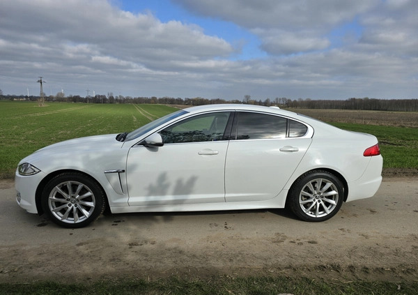 Jaguar XF cena 46500 przebieg: 206250, rok produkcji 2012 z Kutno małe 121